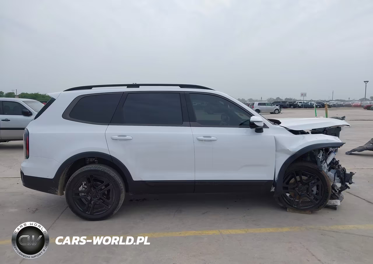 2025 Kia Telluride Sx X-Line VIN:5XYP5DGC5SG729700 - 14