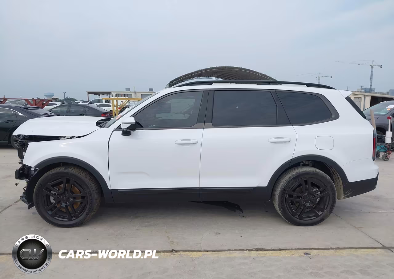 2025 Kia Telluride Sx X-Line VIN:5XYP5DGC5SG729700 - 15