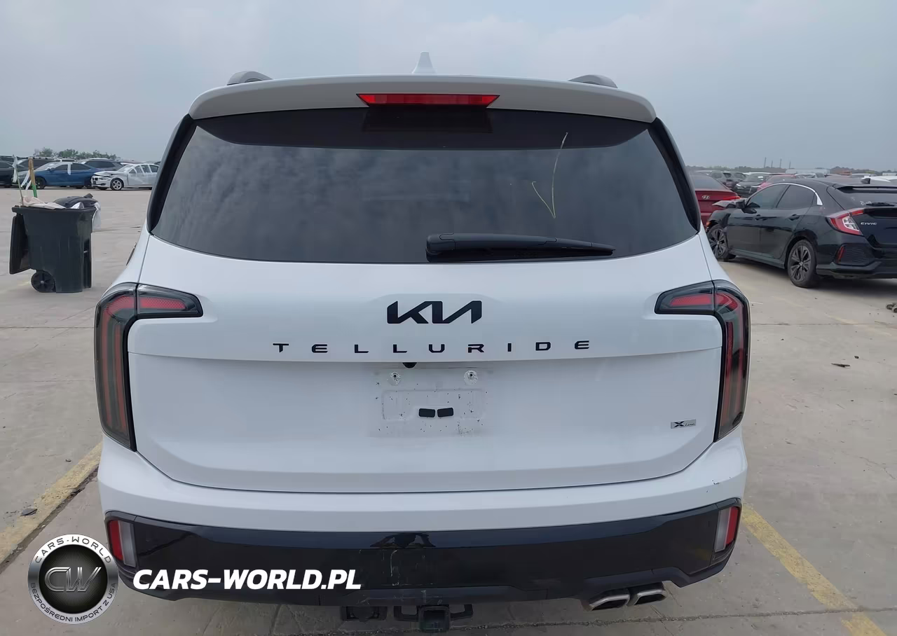 2025 Kia Telluride Sx X-Line VIN:5XYP5DGC5SG729700 - 17