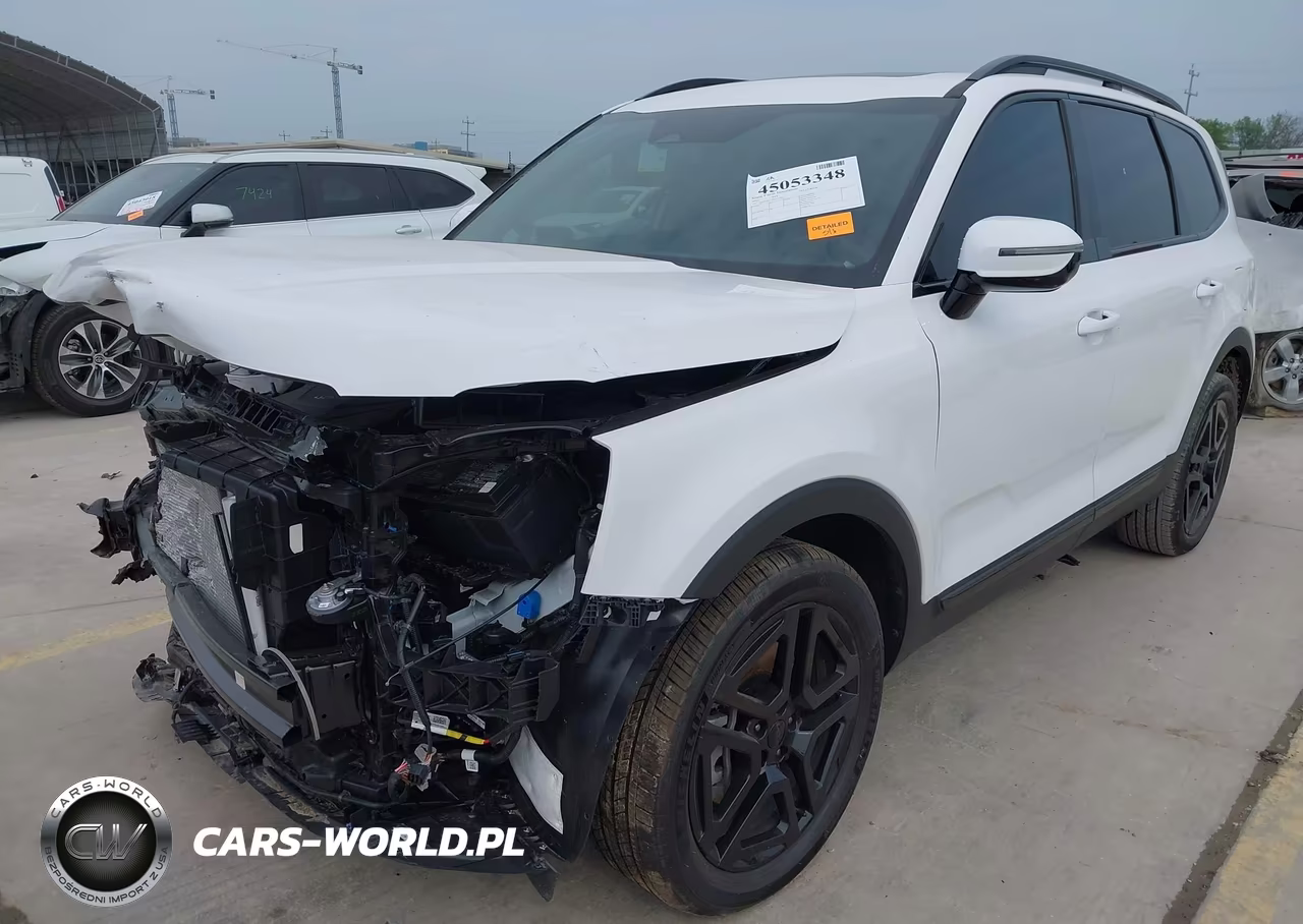 2025 Kia Telluride Sx X-Line VIN:5XYP5DGC5SG729700 - 19