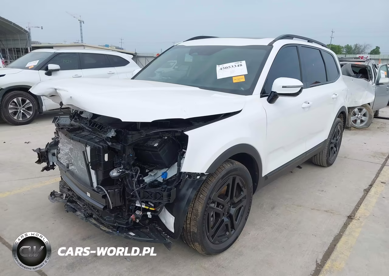 2025 Kia Telluride Sx X-Line VIN:5XYP5DGC5SG729700 - 2