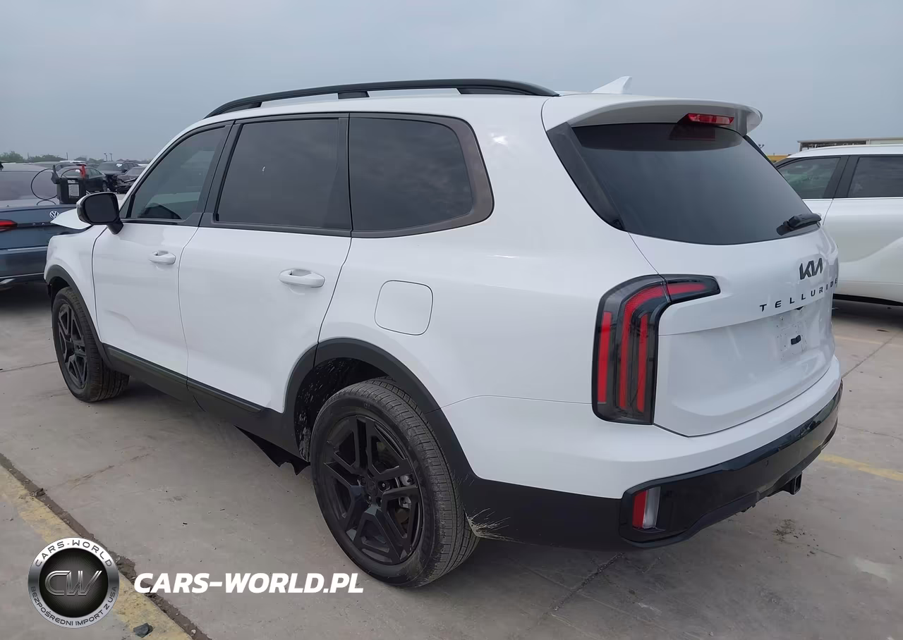 2025 Kia Telluride Sx X-Line VIN:5XYP5DGC5SG729700 - 3