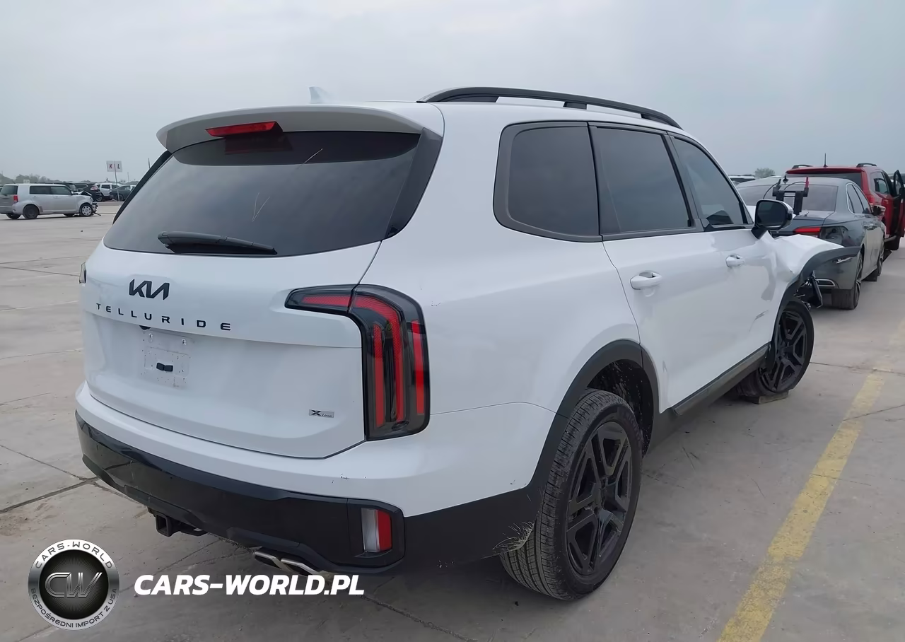 2025 Kia Telluride Sx X-Line VIN:5XYP5DGC5SG729700 - 4