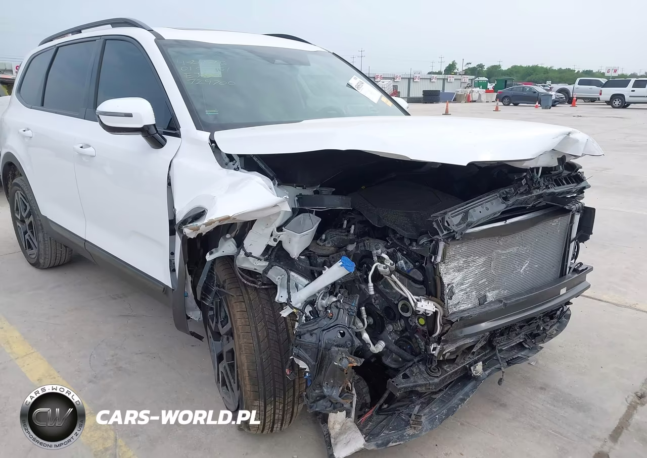 2025 Kia Telluride Sx X-Line VIN:5XYP5DGC5SG729700 - 6