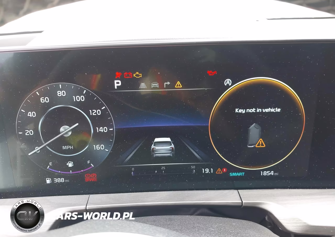 2025 Kia Telluride Sx X-Line VIN:5XYP5DGC5SG729700 - 7