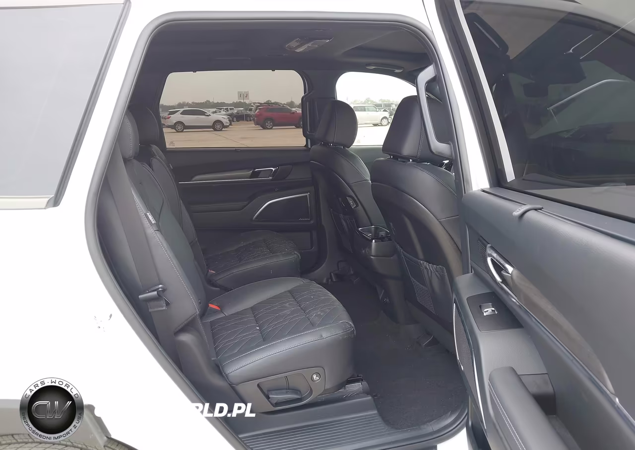 2025 Kia Telluride Sx X-Line VIN:5XYP5DGC5SG729700 - 8