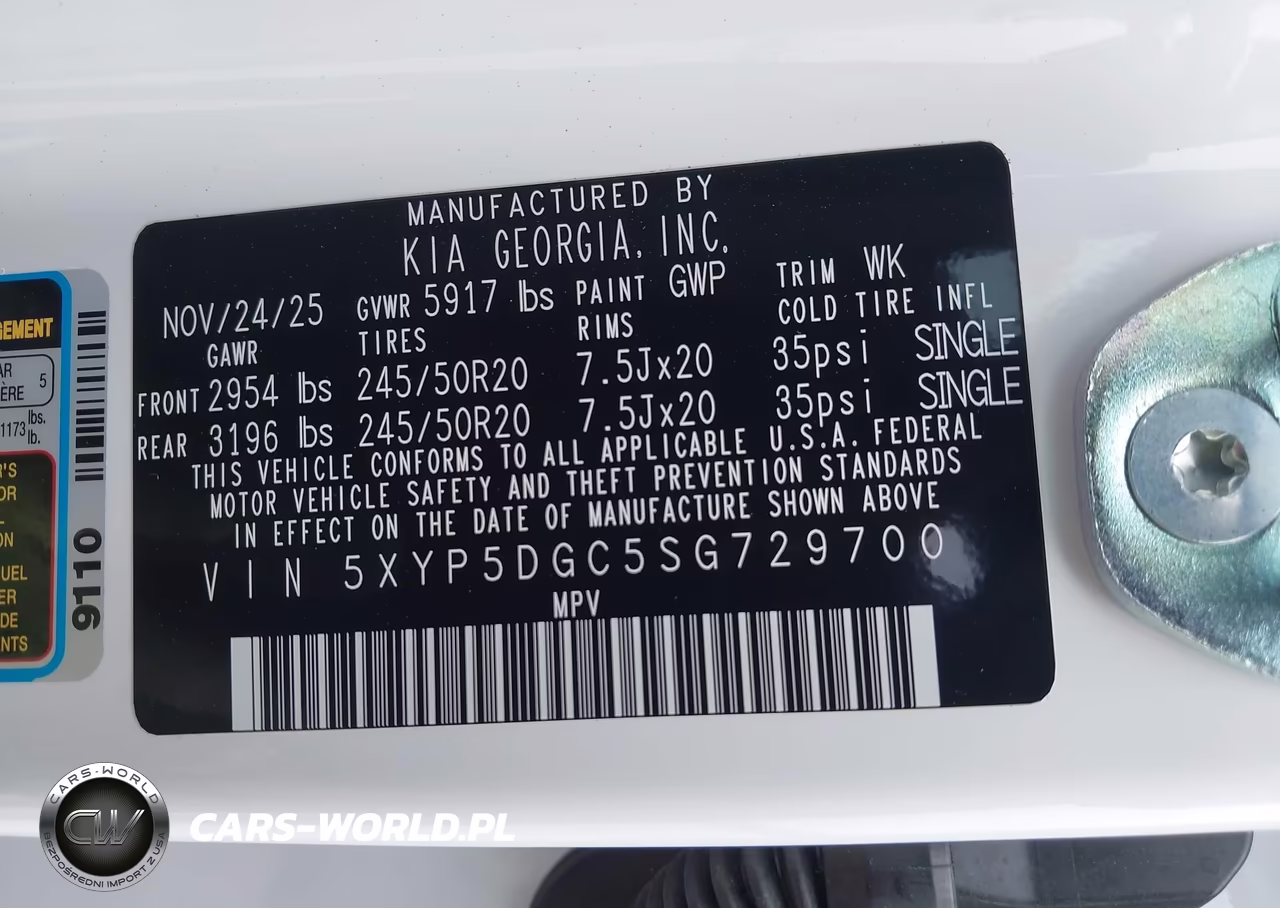 2025 Kia Telluride Sx X-Line VIN:5XYP5DGC5SG729700 - 9