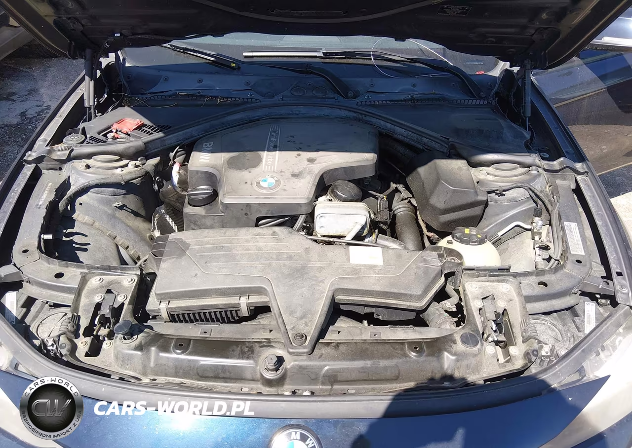2014 BMW 320I xDrive VIN:WBA3C3G52ENS71530 - 10