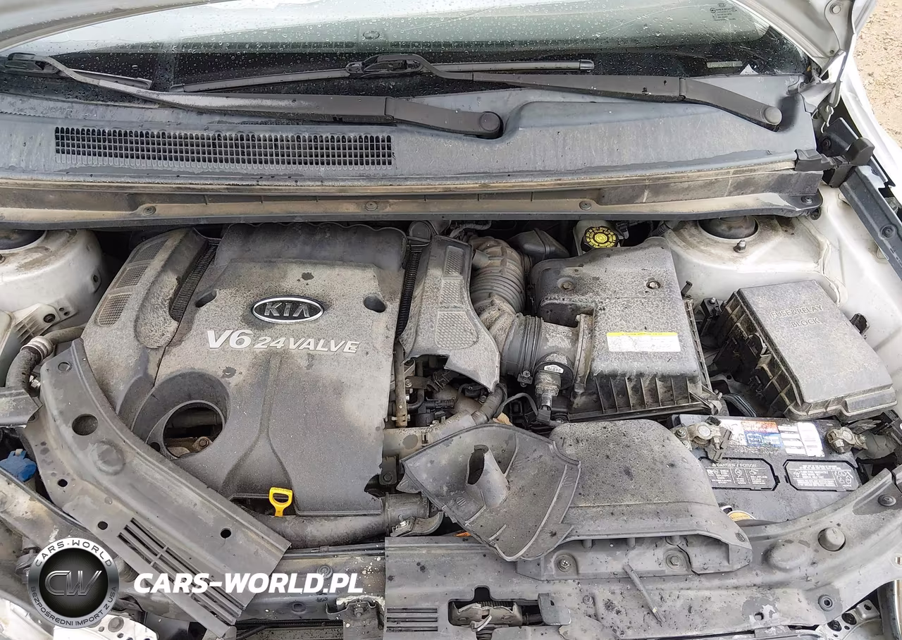 2007 Kia Rondo Ex V6 VIN:KNAFG526577120167 - 10