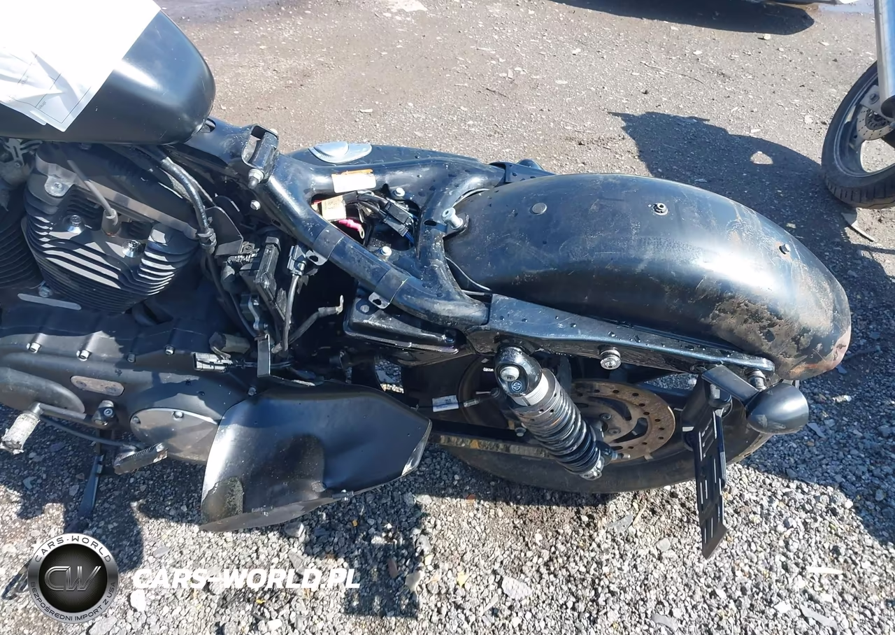 2021 Harley-Davidson Xl883 N VIN:1HD4LE212MB410464 - 11