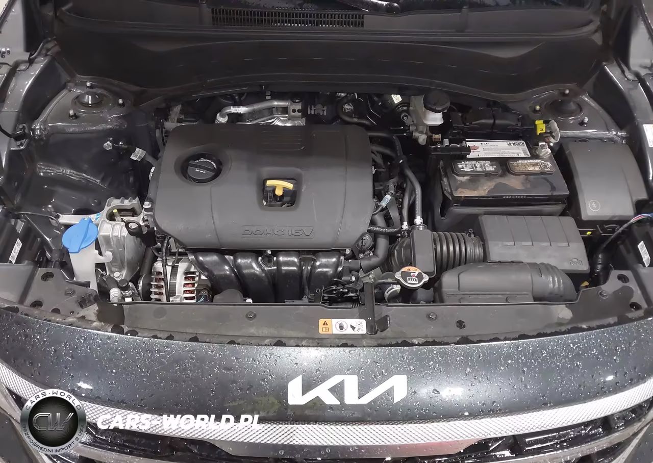 2026 Kia Seltos Ex VIN:KNDERCAA6T7832264 - 10