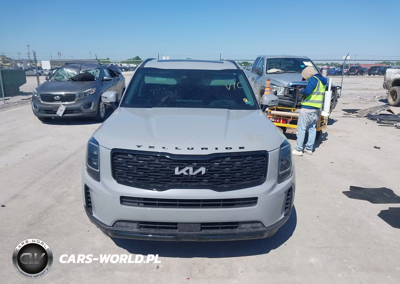 2022 Kia Telluride Sx VIN:5XYP5DHC3NG316418 - 12