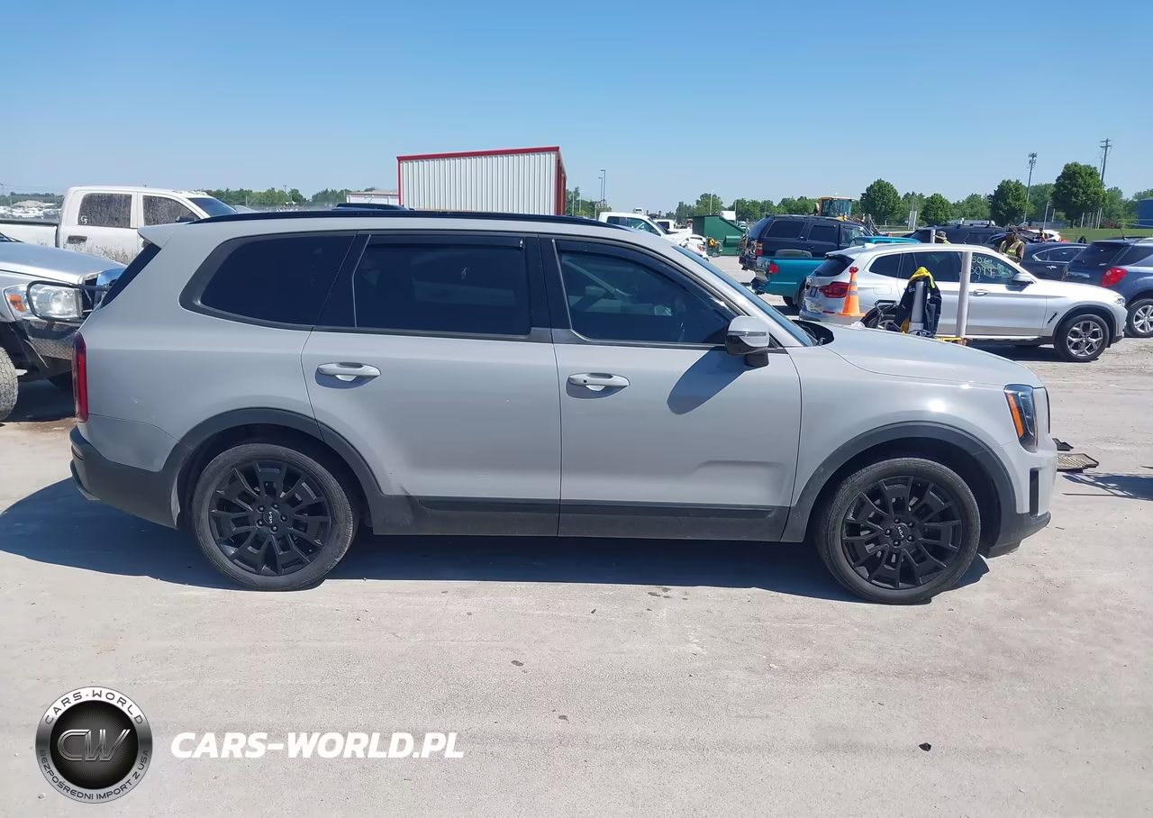 2022 Kia Telluride Sx VIN:5XYP5DHC3NG316418 - 13