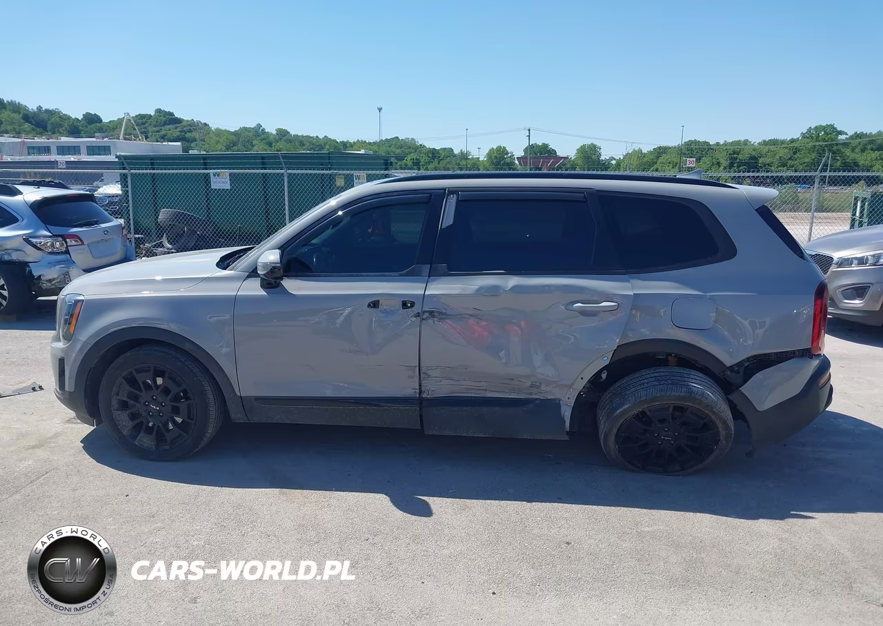 2022 Kia Telluride Sx VIN:5XYP5DHC3NG316418 - 14
