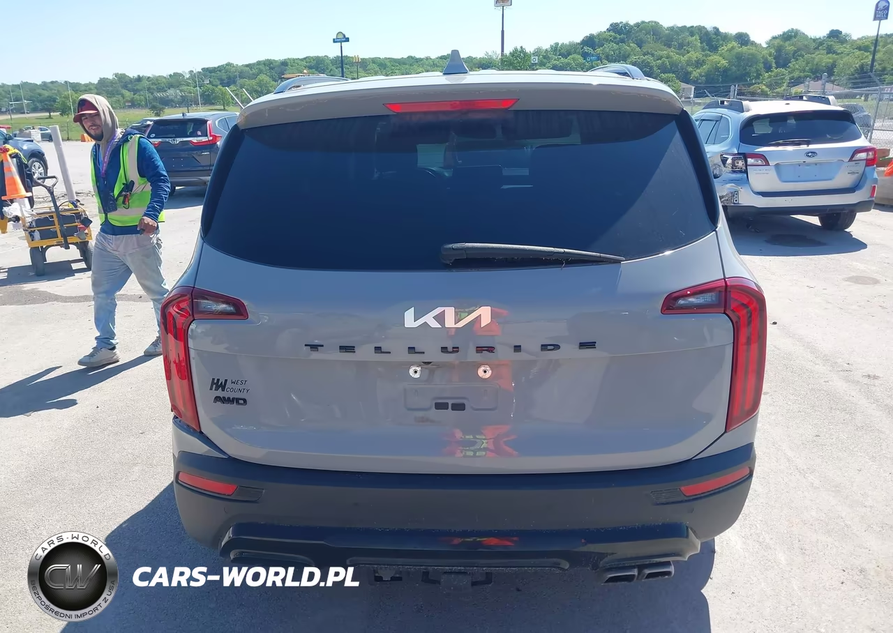 2022 Kia Telluride Sx VIN:5XYP5DHC3NG316418 - 16
