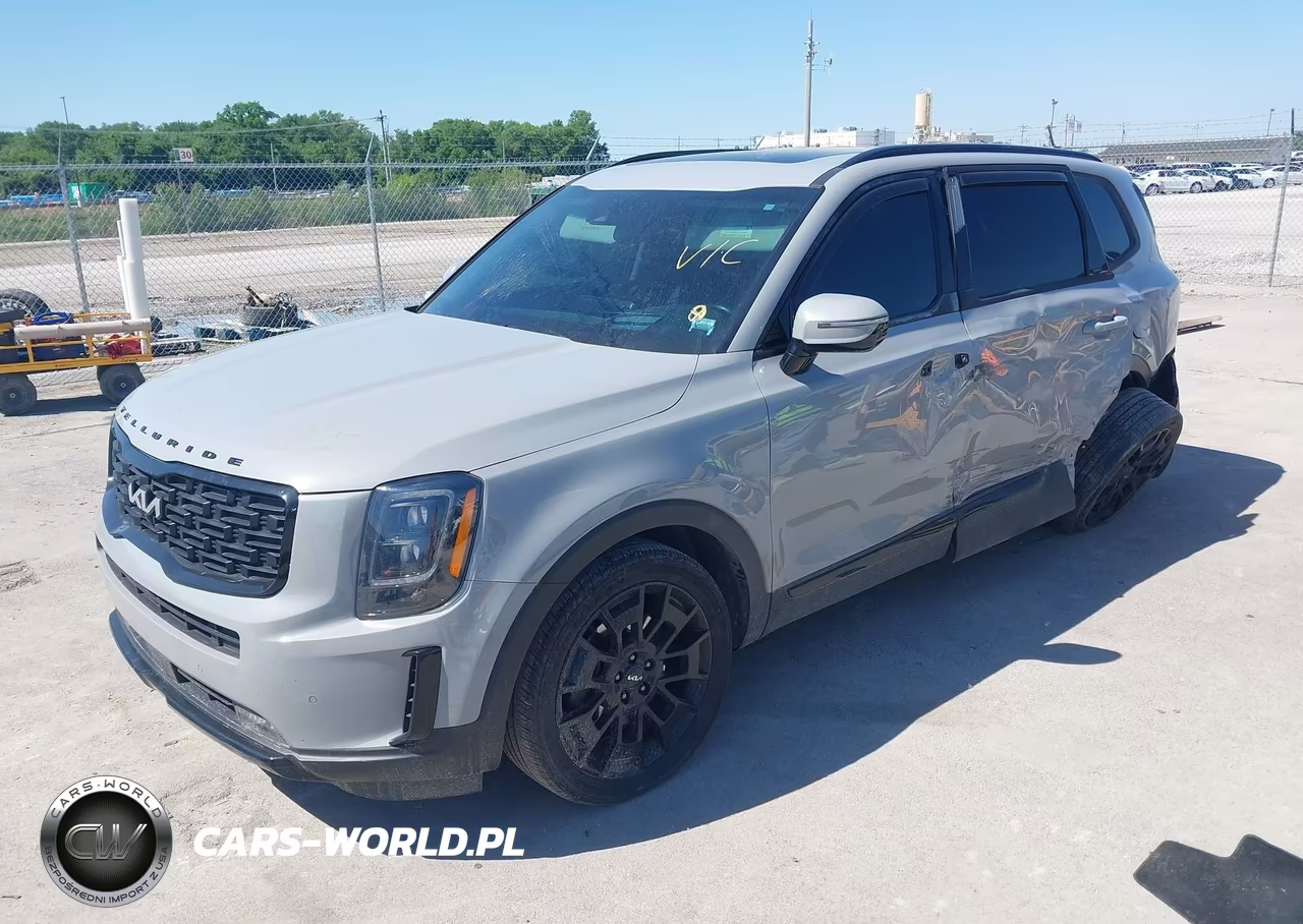 2022 Kia Telluride Sx VIN:5XYP5DHC3NG316418 - 2