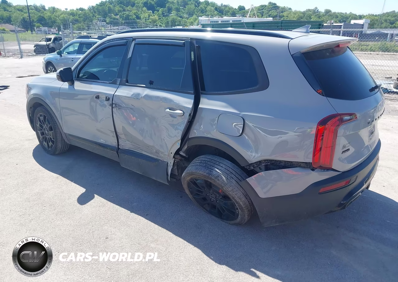 2022 Kia Telluride Sx VIN:5XYP5DHC3NG316418 - 3