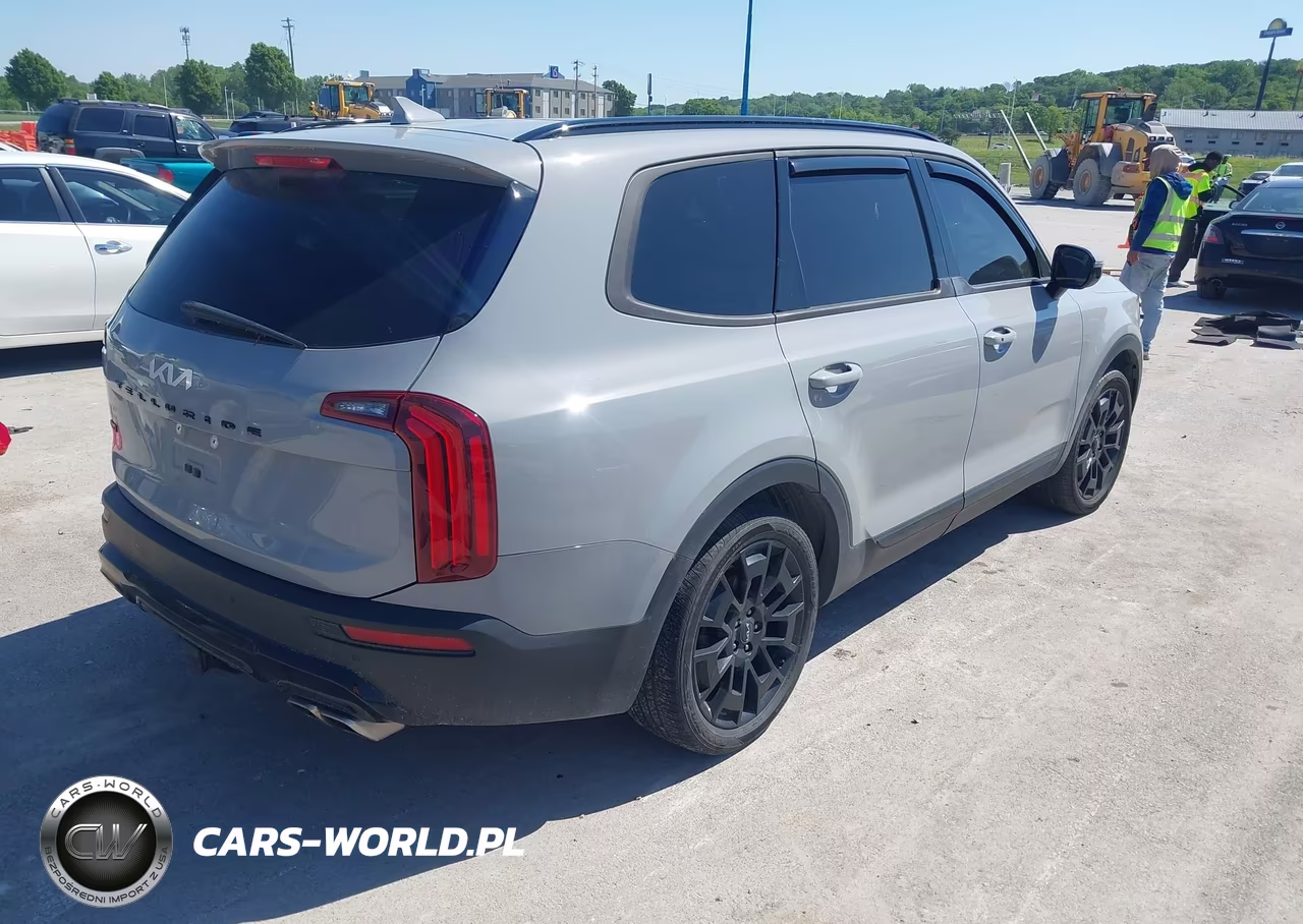 2022 Kia Telluride Sx VIN:5XYP5DHC3NG316418 - 4