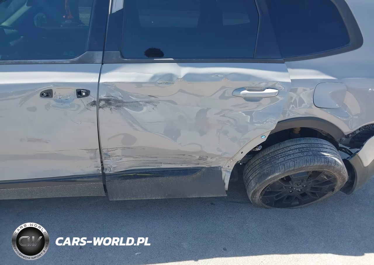2022 Kia Telluride Sx VIN:5XYP5DHC3NG316418 - 6