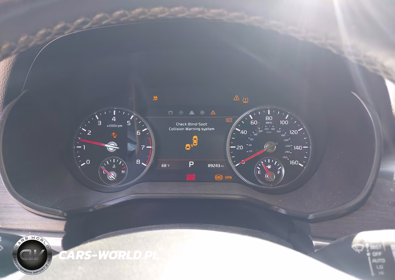 2022 Kia Telluride Sx VIN:5XYP5DHC3NG316418 - 7