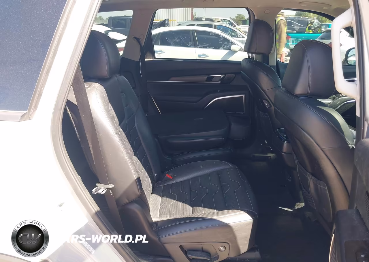 2022 Kia Telluride Sx VIN:5XYP5DHC3NG316418 - 8