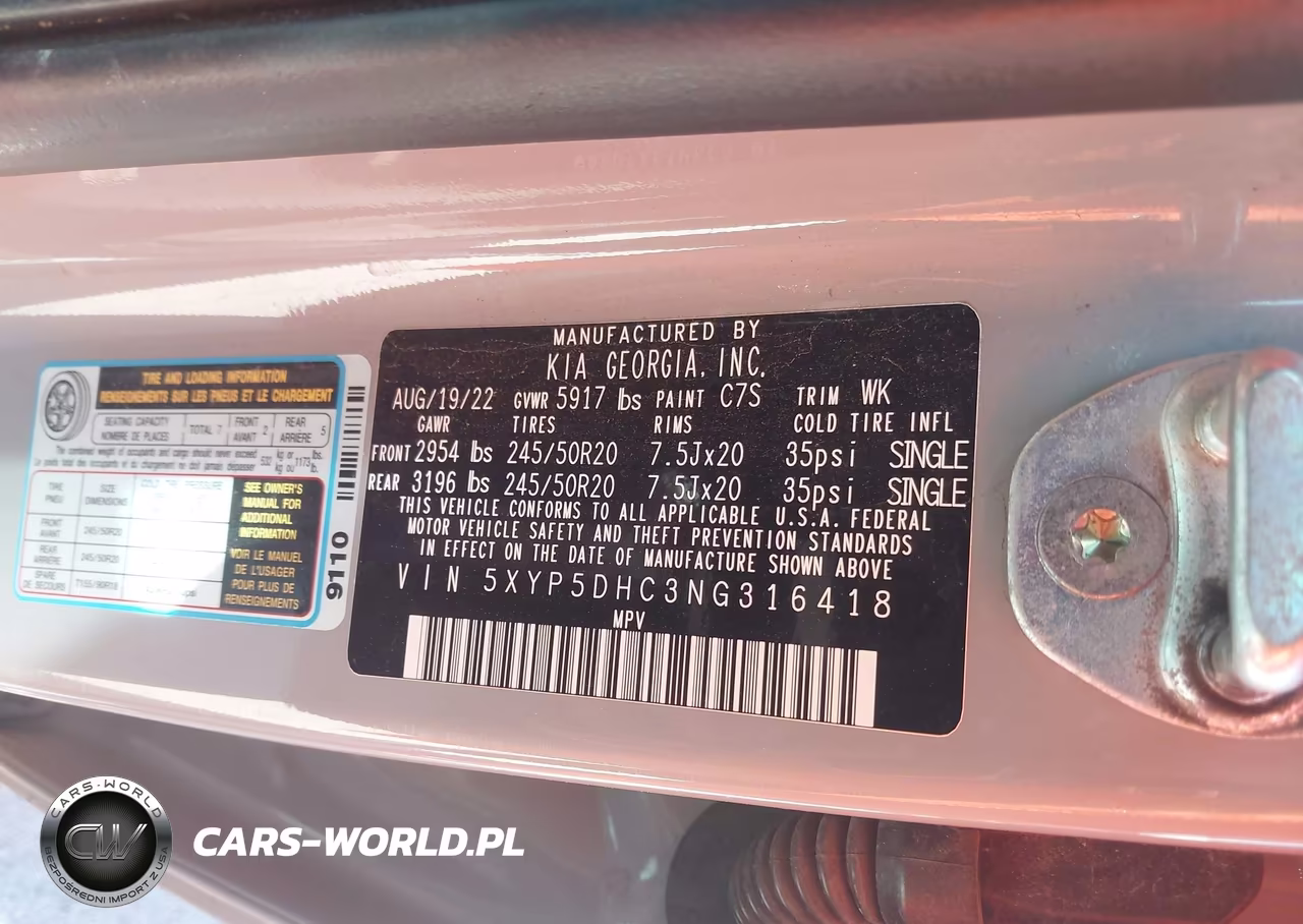 2022 Kia Telluride Sx VIN:5XYP5DHC3NG316418 - 9