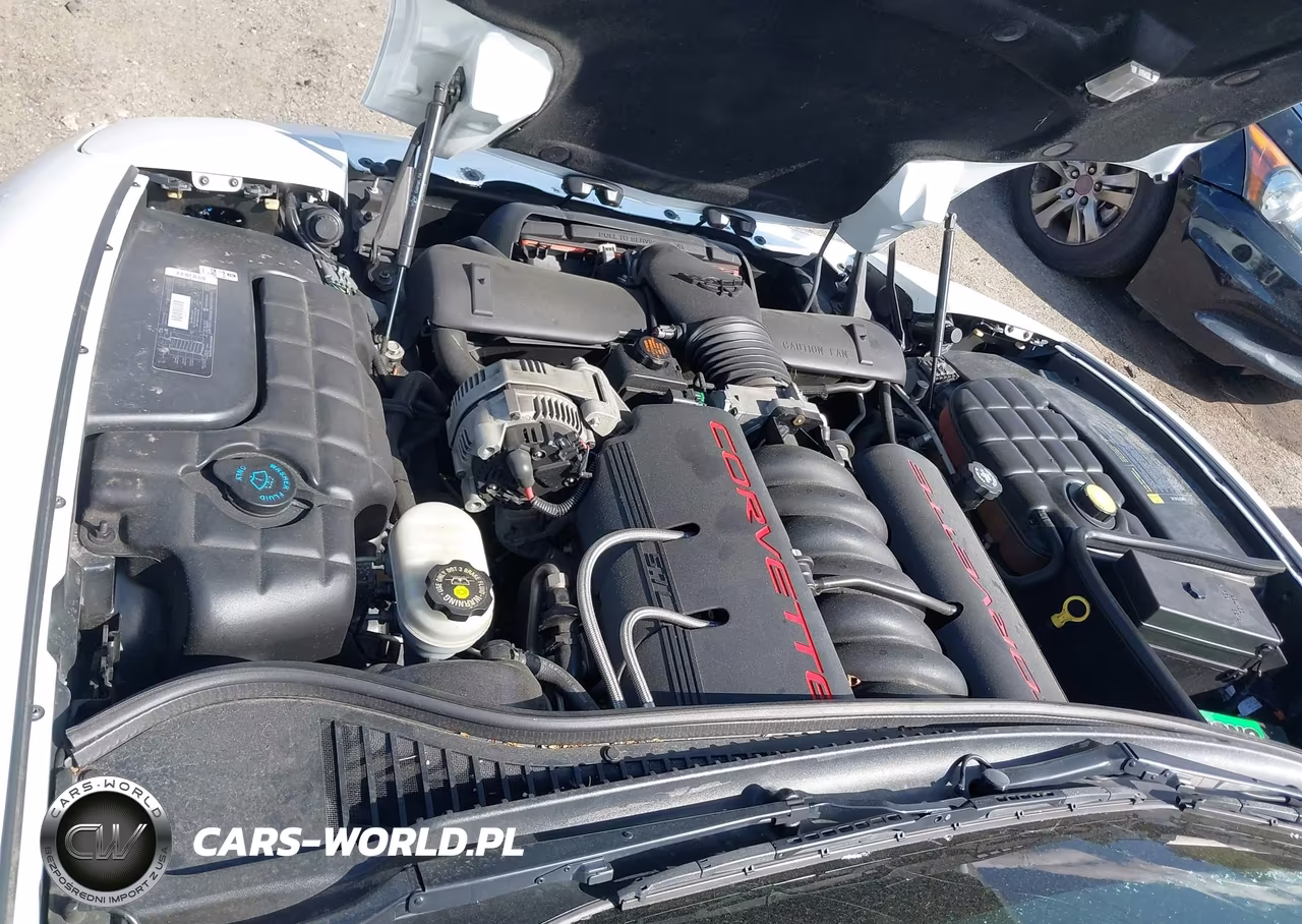 1998 Chevrolet Corvette VIN:1G1YY22G3W5101538 - 10
