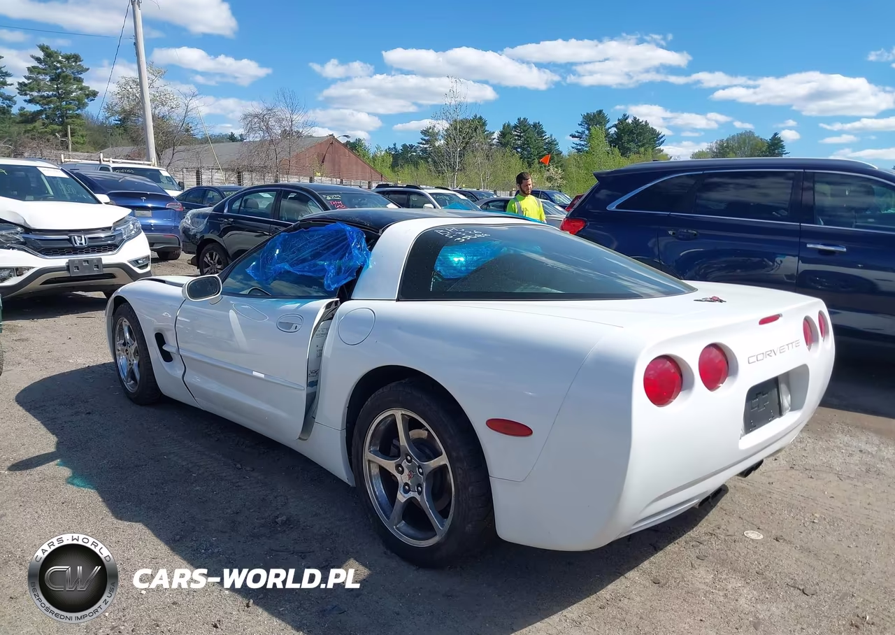 1998 Chevrolet Corvette VIN:1G1YY22G3W5101538 - 3