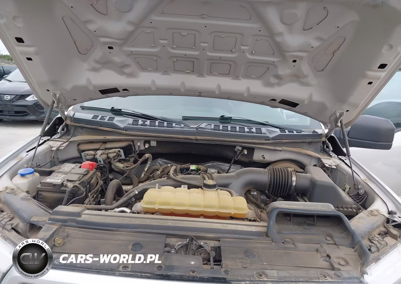 2019 Ford F-150 Xl VIN:1FTEW1CP1KKD81237 - 10
