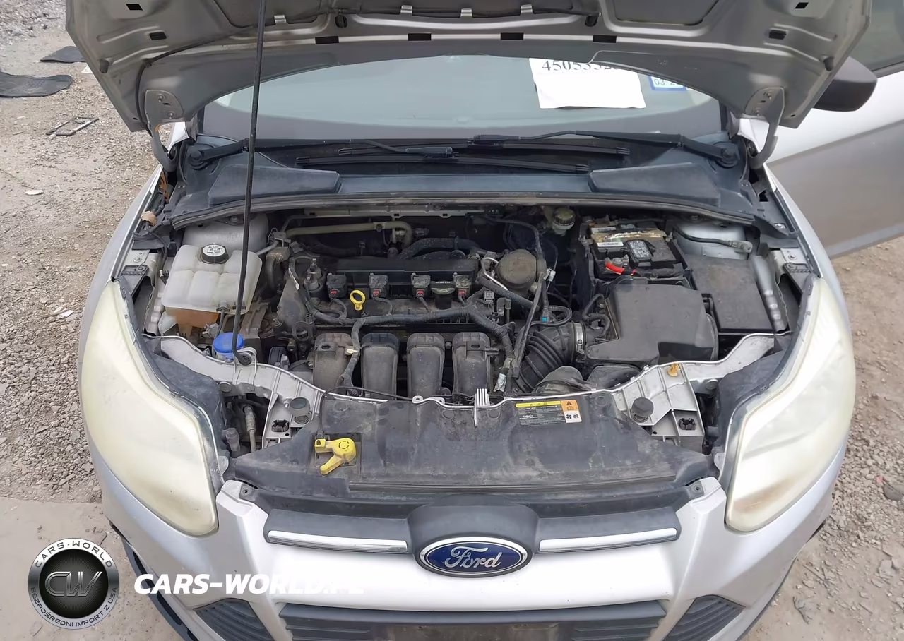 2013 Ford Focus S VIN:1FADP3E21DL309687 - 10