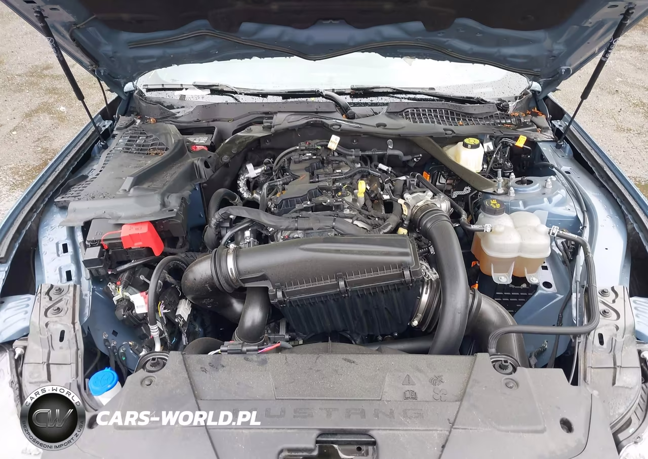 2024 Ford Mustang Ecoboost VIN:1FAGP8UH2R5138217 - 10