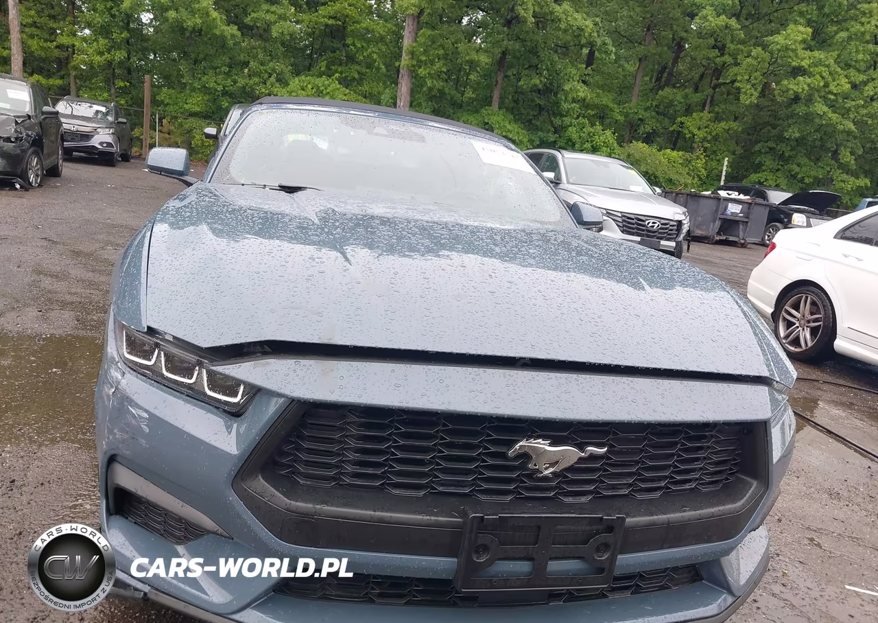 2024 Ford Mustang Ecoboost VIN:1FAGP8UH2R5138217 - 12