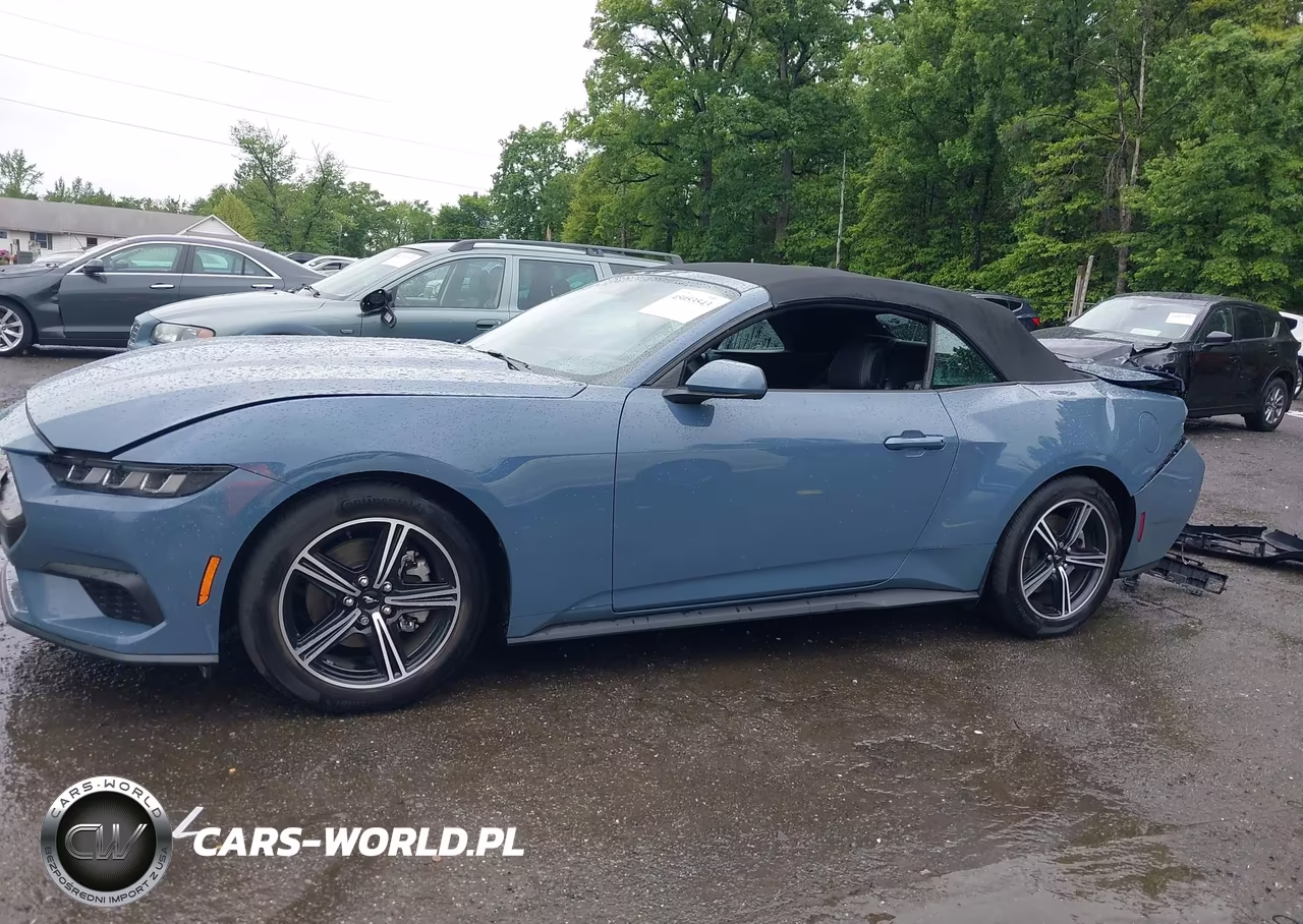 2024 Ford Mustang Ecoboost VIN:1FAGP8UH2R5138217 - 14