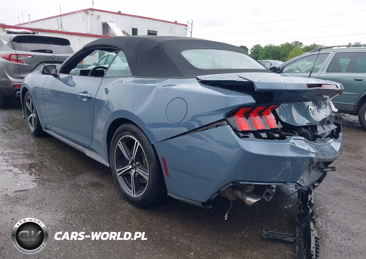 2024 Ford Mustang Ecoboost VIN:1FAGP8UH2R5138217 - 3