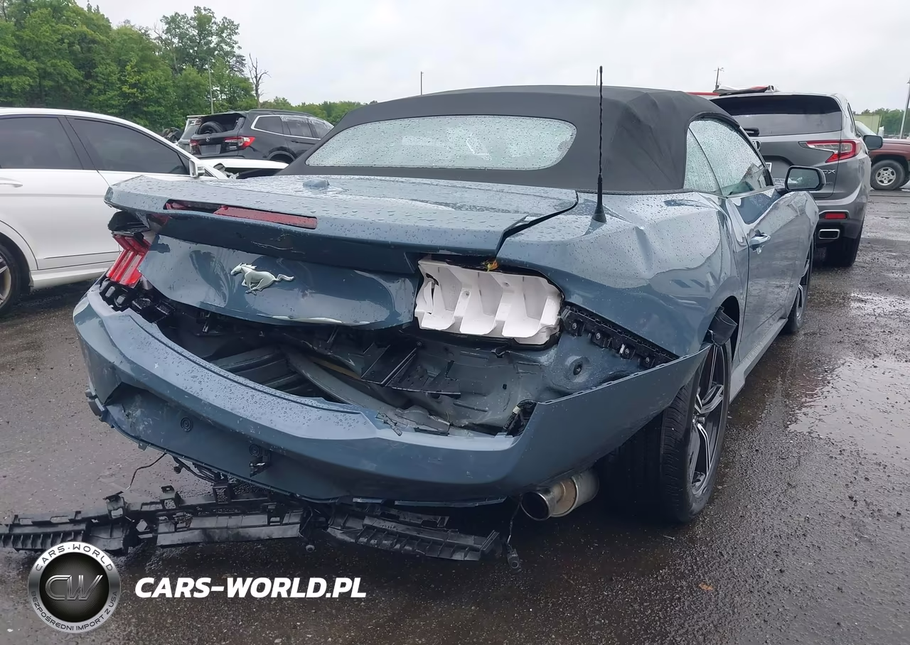 2024 Ford Mustang Ecoboost VIN:1FAGP8UH2R5138217 - 6