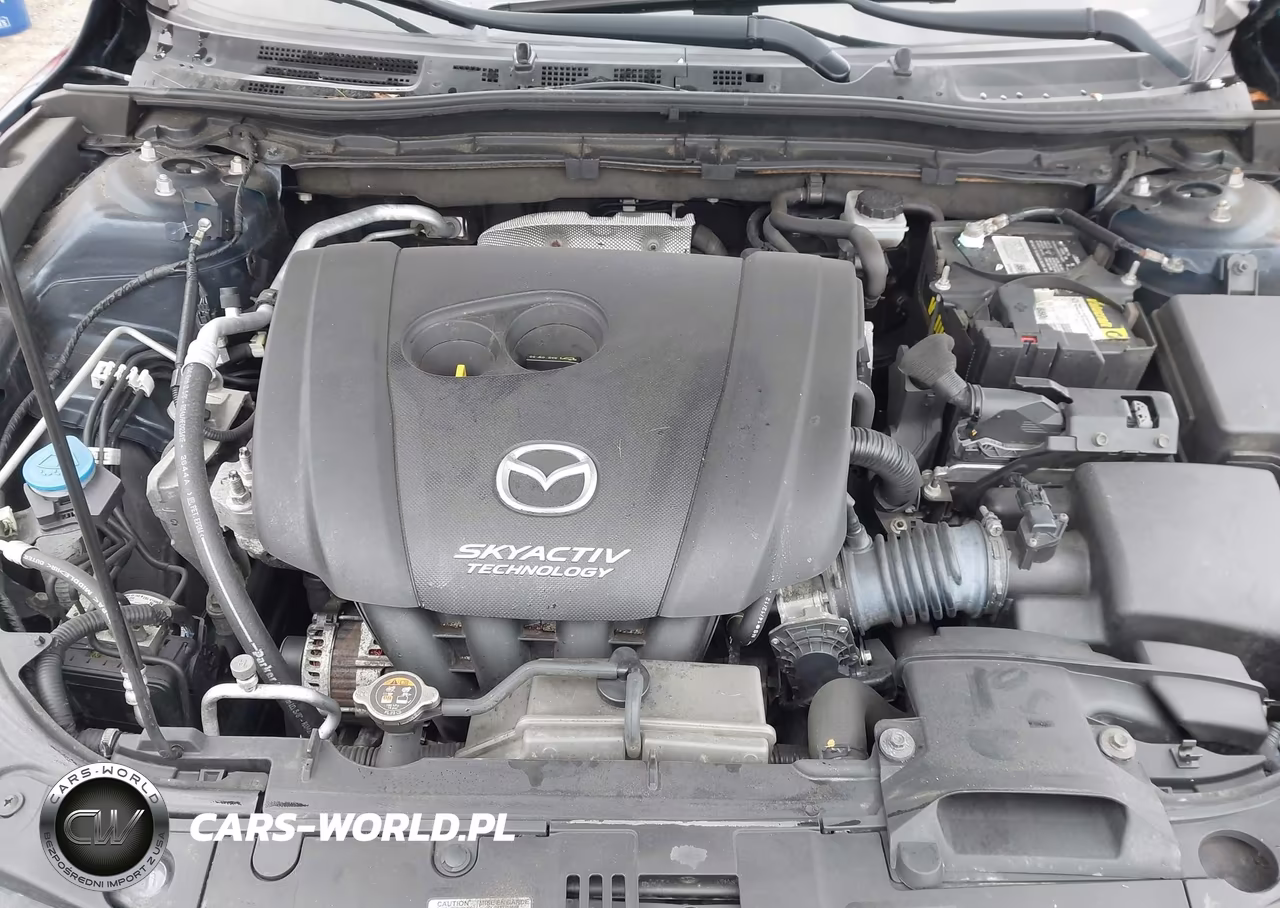 2015 Mazda Mazda3 I Touring VIN:JM1BM1V74F1265466 - 10
