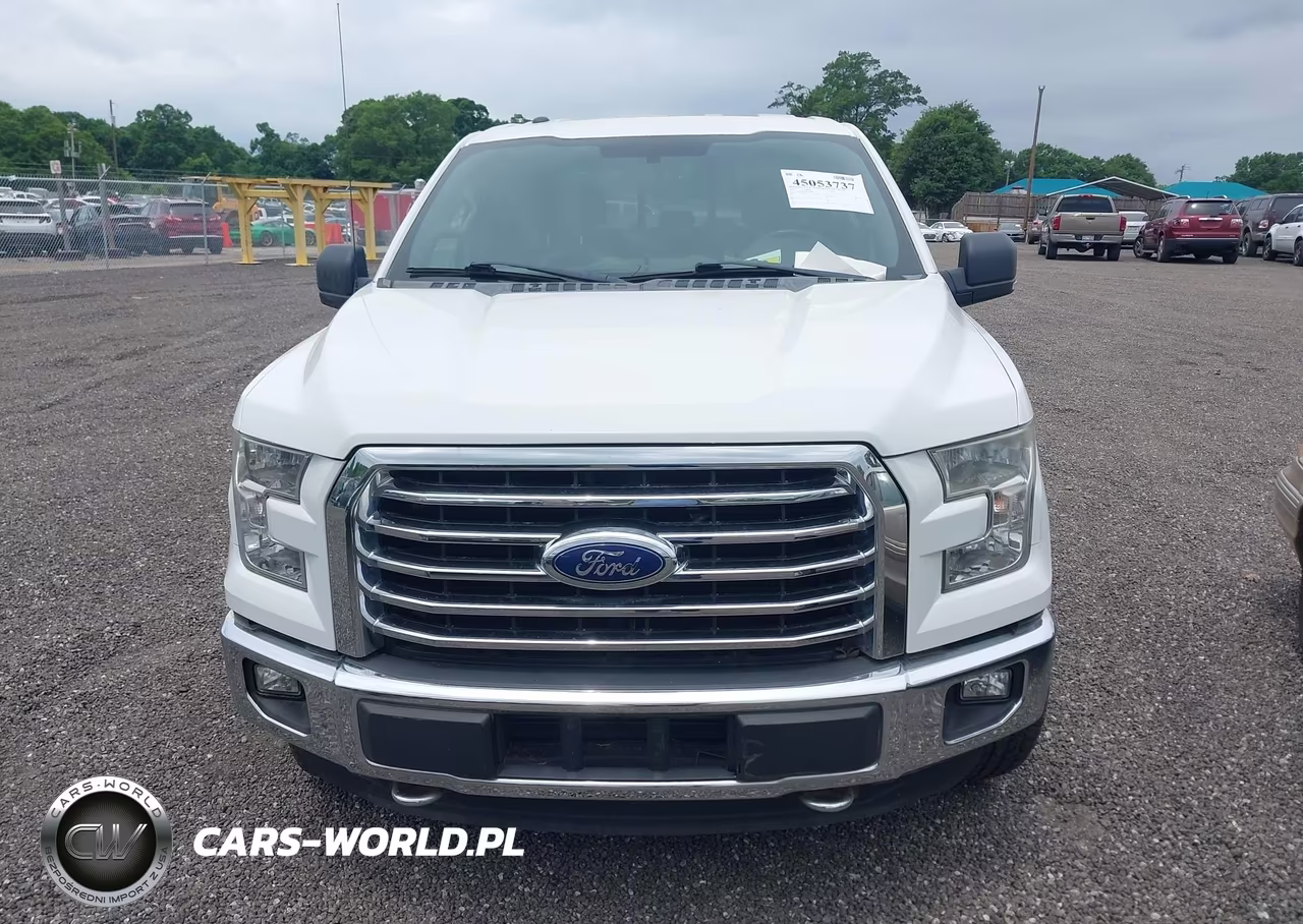 2015 Ford F-150 Xlt VIN:1FTEW1EGXFFC48455 - 12