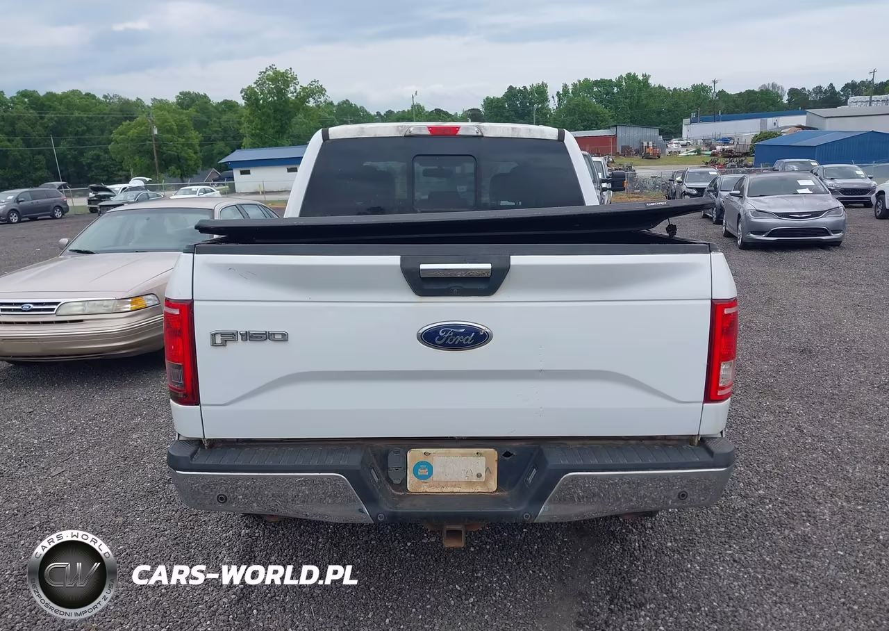 2015 Ford F-150 Xlt VIN:1FTEW1EGXFFC48455 - 16
