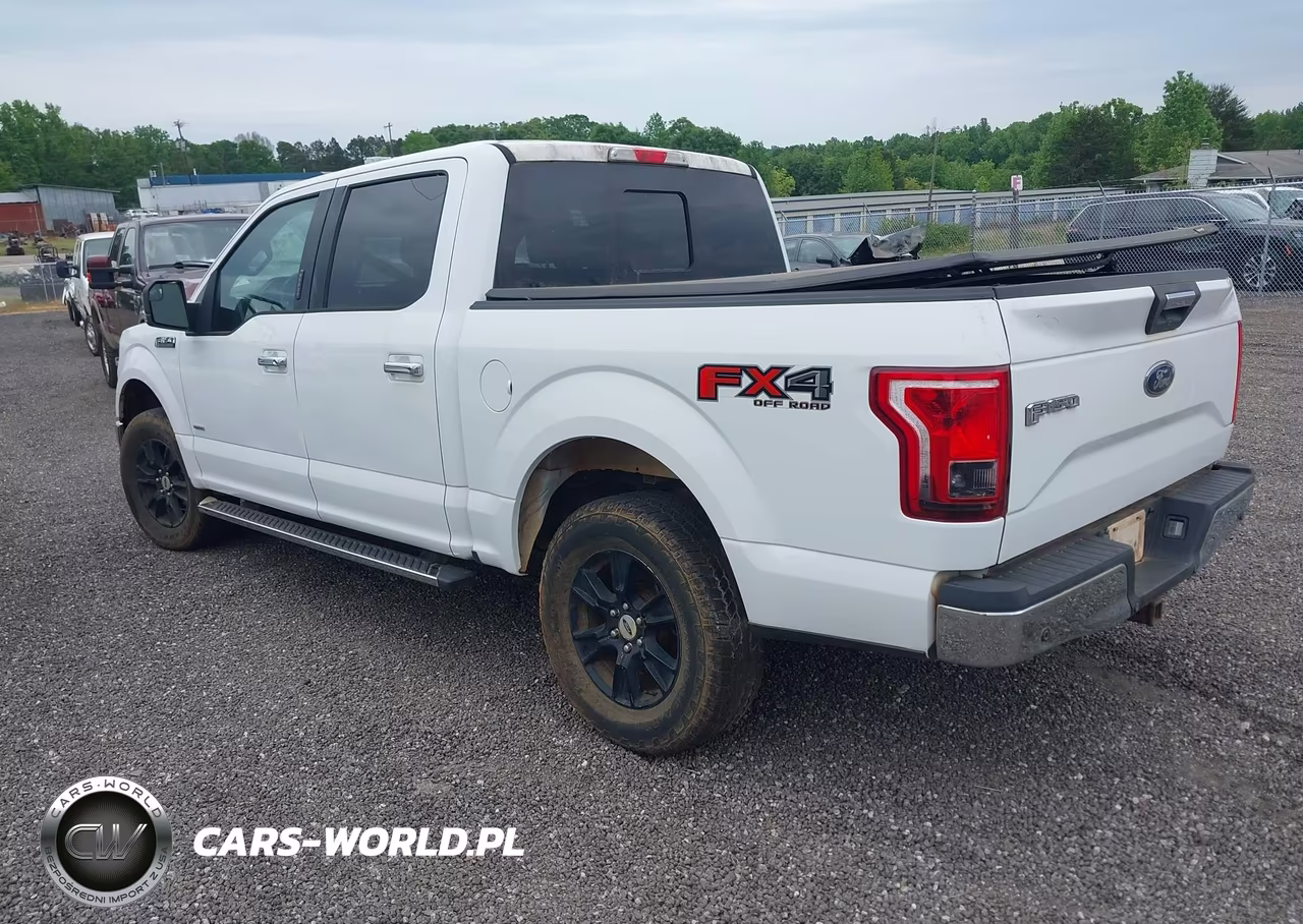 2015 Ford F-150 Xlt VIN:1FTEW1EGXFFC48455 - 3