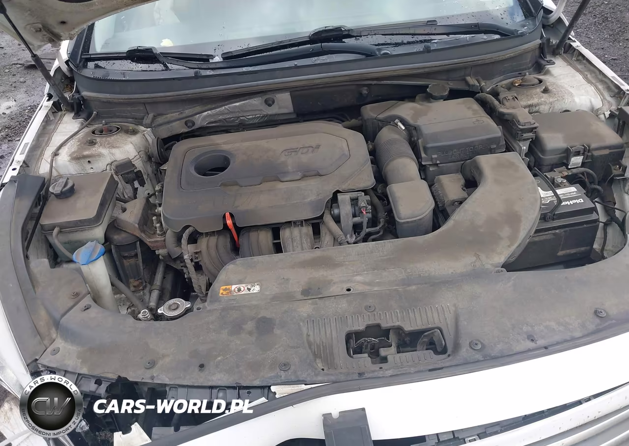 2016 Hyundai Sonata Se VIN:5NPE24AF9GH298023 - 10