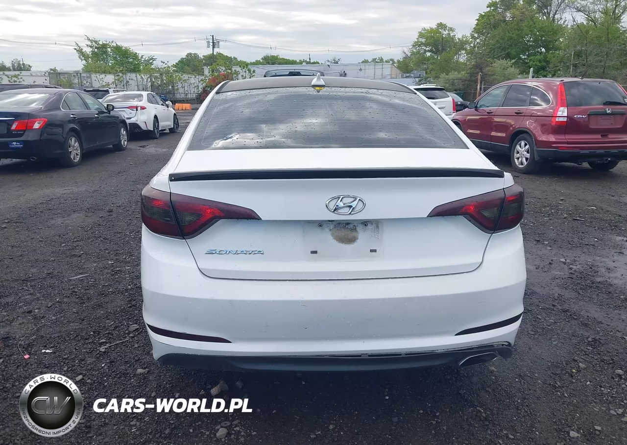 2016 Hyundai Sonata Se VIN:5NPE24AF9GH298023 - 16