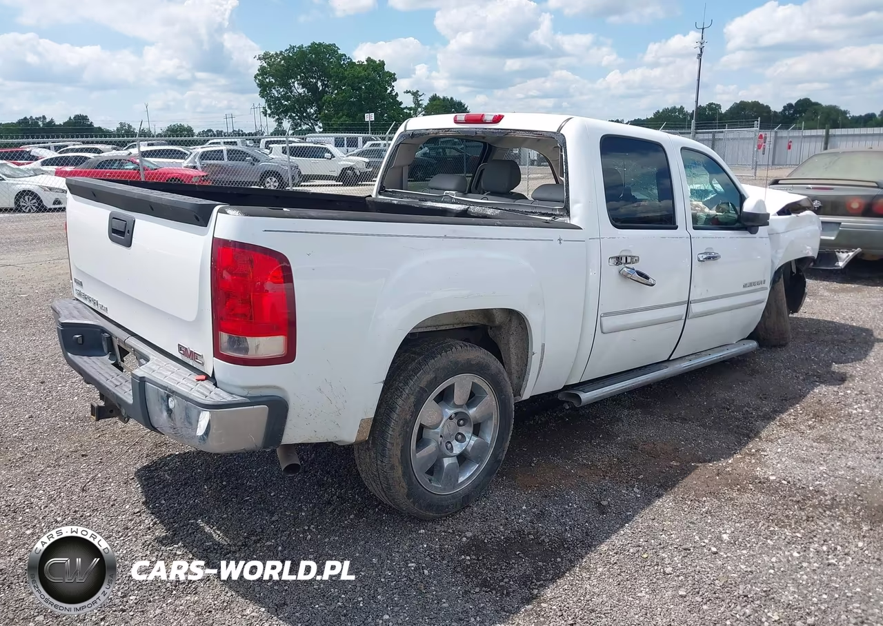 2009 GMC Sierra 1500 Sle VIN:3GTEC23029G255164 - 4