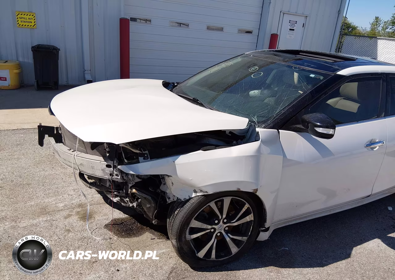 2018 Nissan Maxima 3.5 Sl VIN:1N4AA6APXJC375402 - 6