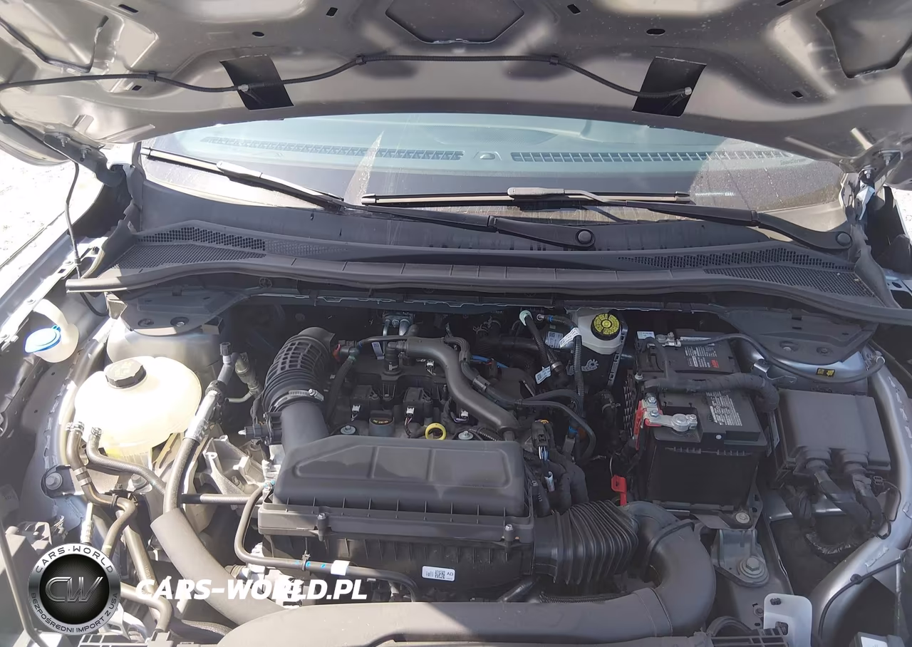 2024 Ford Escape Active VIN:1FMCU0GN9RUA04827 - 10