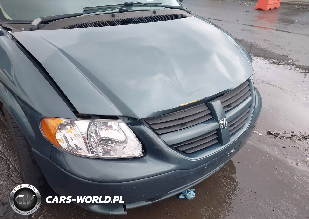 2007 Dodge Grand Caravan Sxt VIN:2D4GP44L87R165528 - 6
