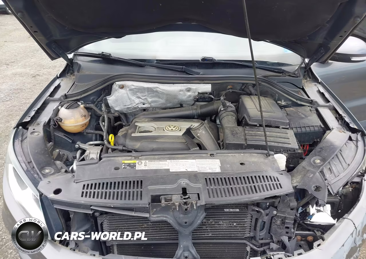 2016 Volkswagen Tiguan S VIN:WVGBV7AX5GW549100 - 10