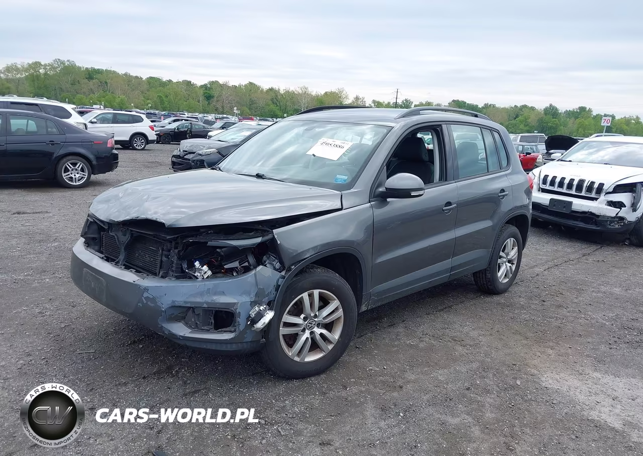 2016 Volkswagen Tiguan S VIN:WVGBV7AX5GW549100 - 2