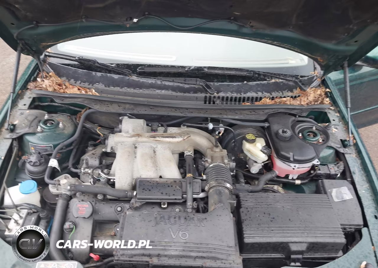 2004 Jaguar X-Type 3.0 VIN:SAJEA51C74WD67509 - 10