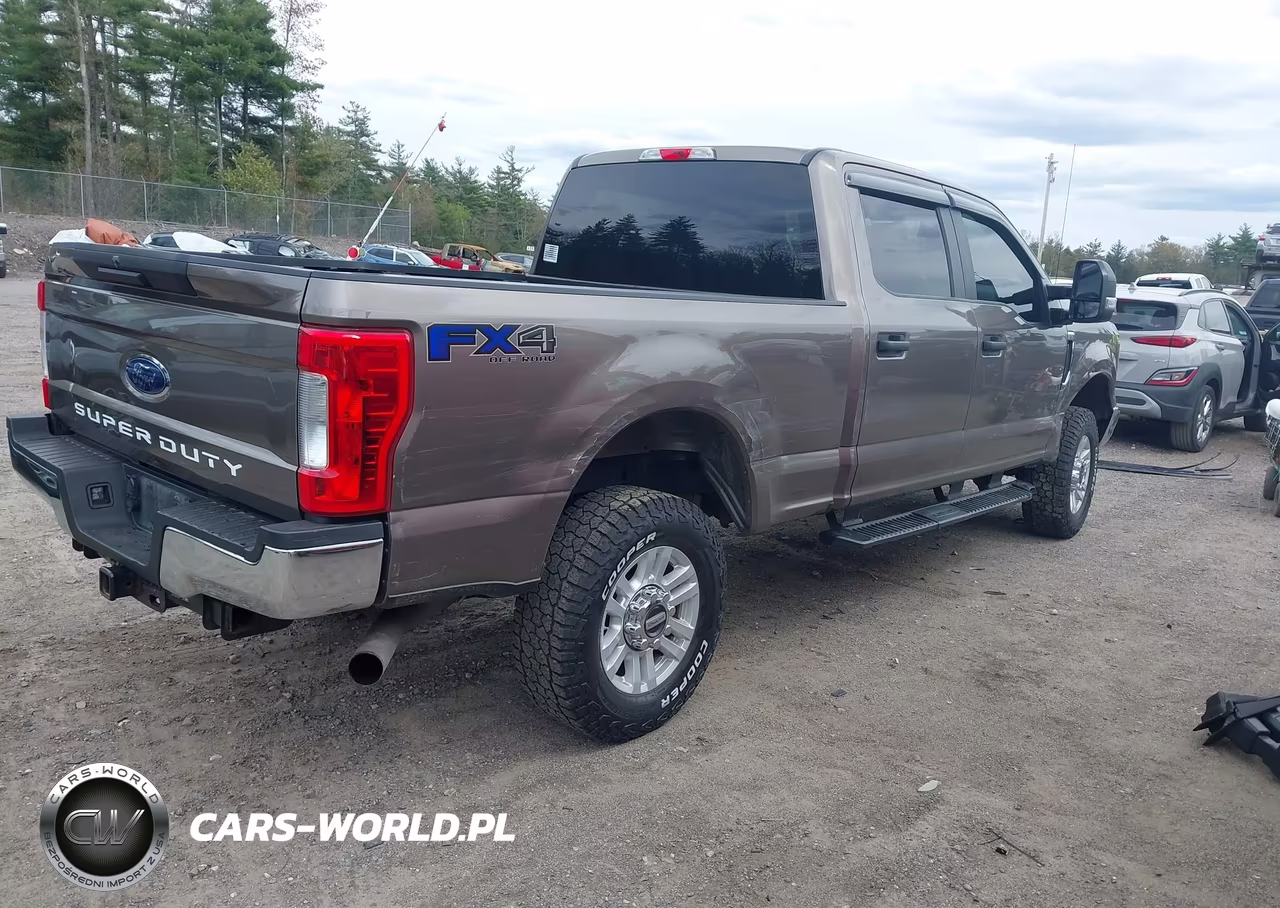 2019 Ford F-250 Xl VIN:1FT7W2B61KED49393 - 4
