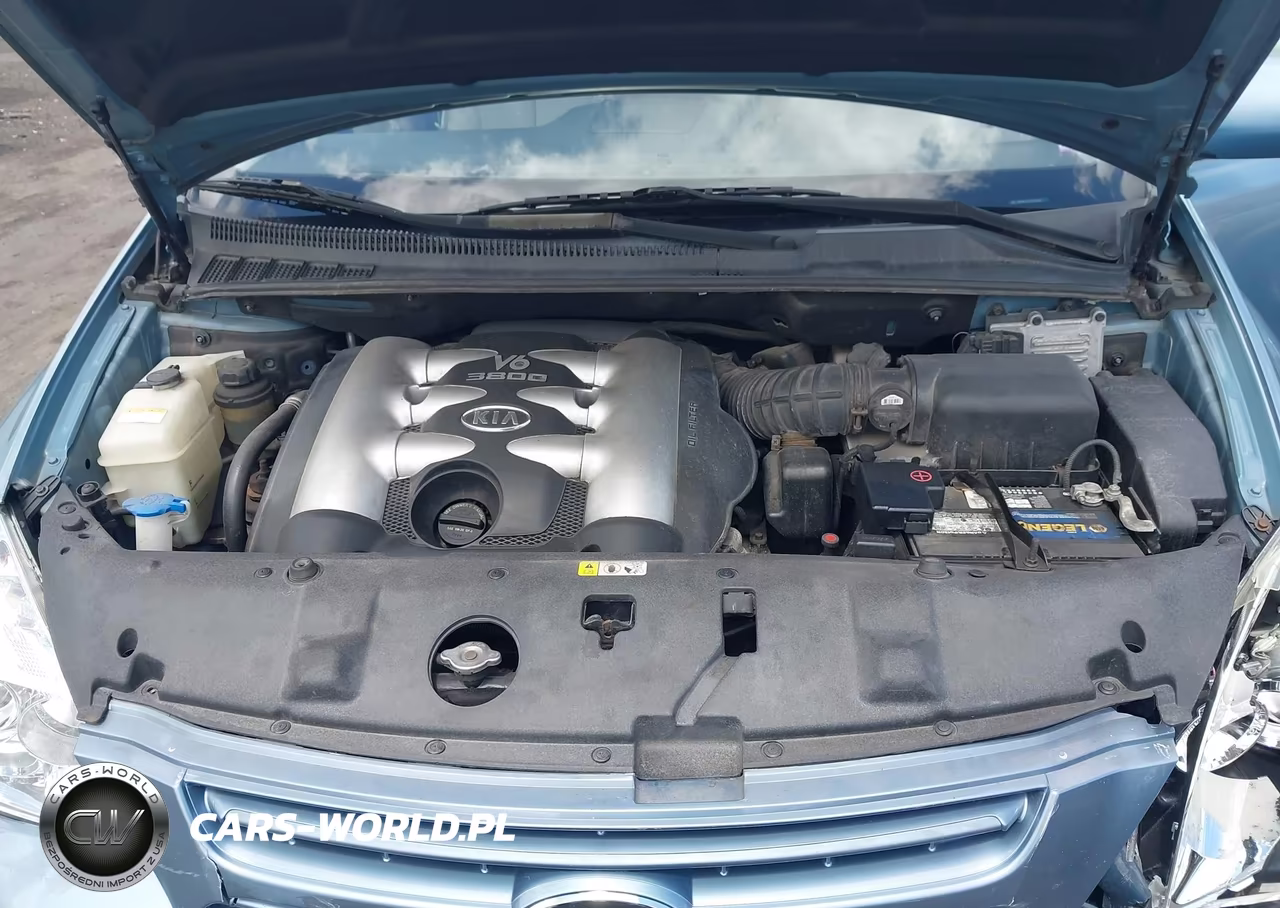 2008 Kia Sedona VIN:KNDMB133786265868 - 10